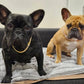 Dog Chain Collar Diamond Cuban Link Necklace Metal Cat Chain Pet Crystal Collar Jewelry Accessories for Dogs Cats