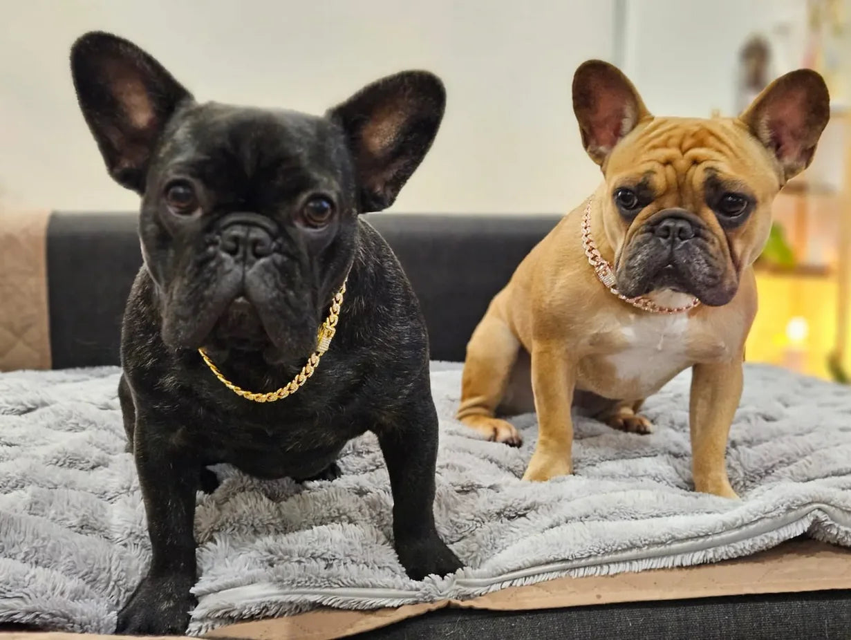 Dog Chain Collar Diamond Cuban Link Necklace Metal Cat Chain Pet Crystal Collar Jewelry Accessories for Dogs Cats