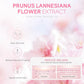 Sakura 6-Piece Travel Skin Care Set