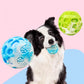 Pet dog toys are sturdy