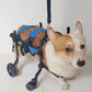 Four-Wheeled Wheelchair For Dog Pet Hind Leg Support Dog Elderly Mobility Aid Car Teddy