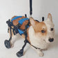 Four-Wheeled Wheelchair For Dog Pet Hind Leg Support Dog Elderly Mobility Aid Car Teddy