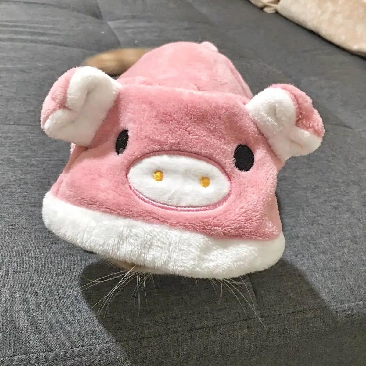 Pet Dog Clothes