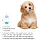 Pet Christmas clothing,