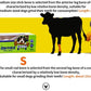 Pet Dog Snacks Crispy Beef Stick