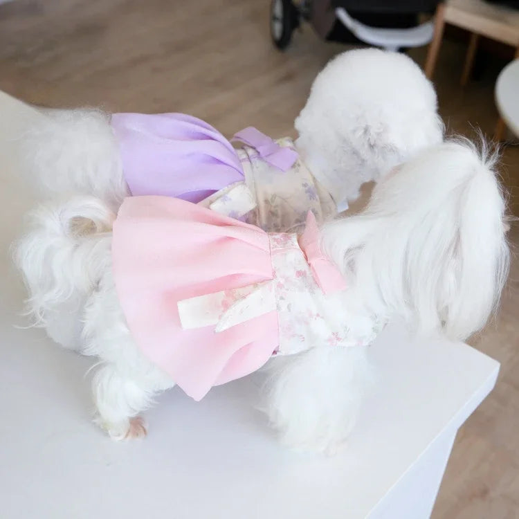 Pet Clothing Dog