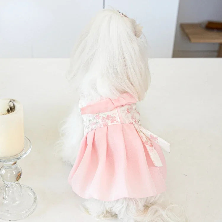 Pet Clothing Dog