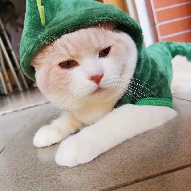 Pet Dog Clothes
