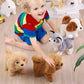 Baby Toy Dogs That Walks