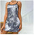 Midnight Blossom Satin Nightdress