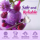 Korean Skin Care EQQUALBERRY Bakuchiol & Vitamin C Serum Set Niacinamide Serum Face Pore Care Firming Skin Brightening Essence