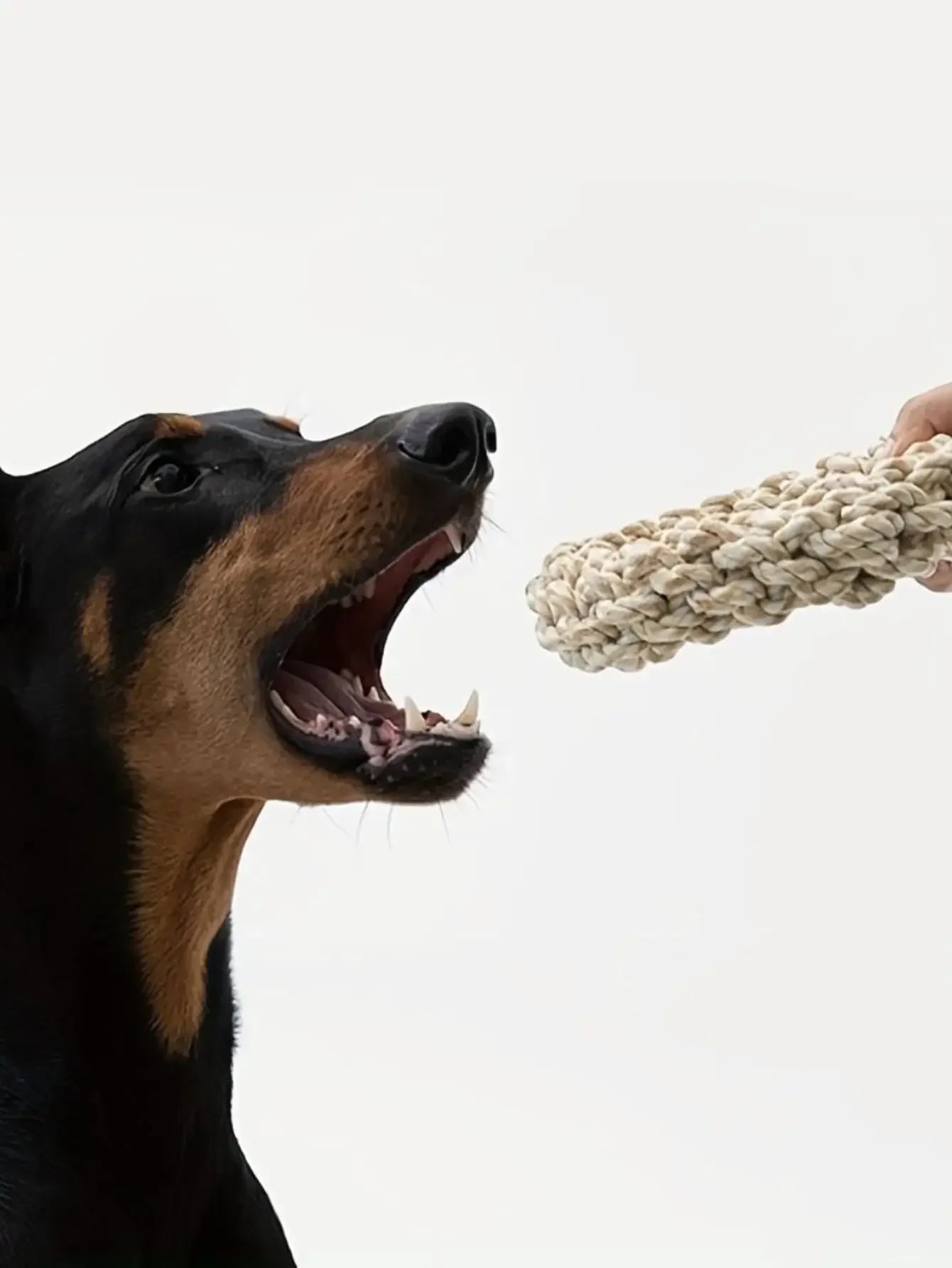 Pet Dog Rope Toy Durable