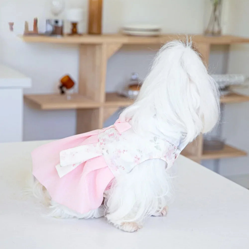 Pet Clothing Dog