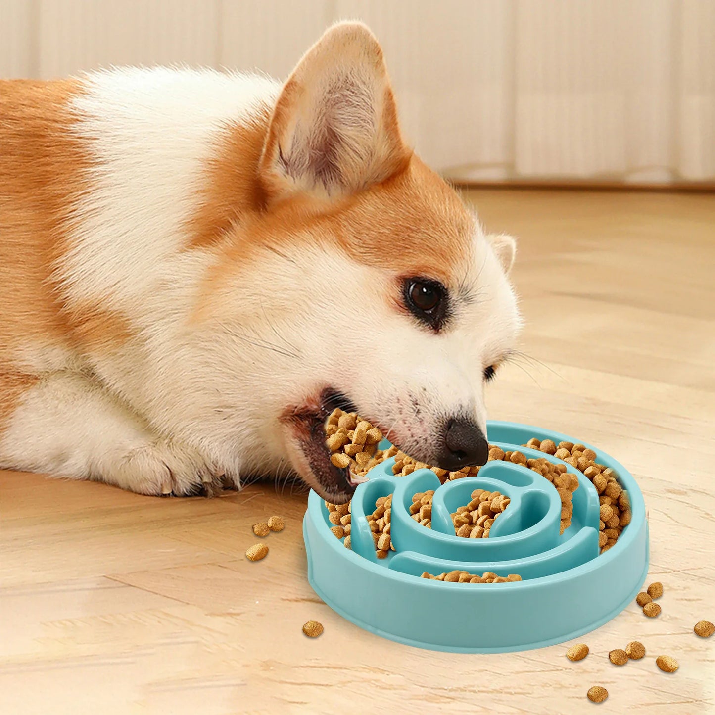 Pet Slow Food Bowl - Non