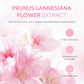 4pcs/Bag Sakura Skin Care Sets Facial Cleanser Face Face Toner Sunscreen Moisturizing Smoothing Nourishing Skincare Product