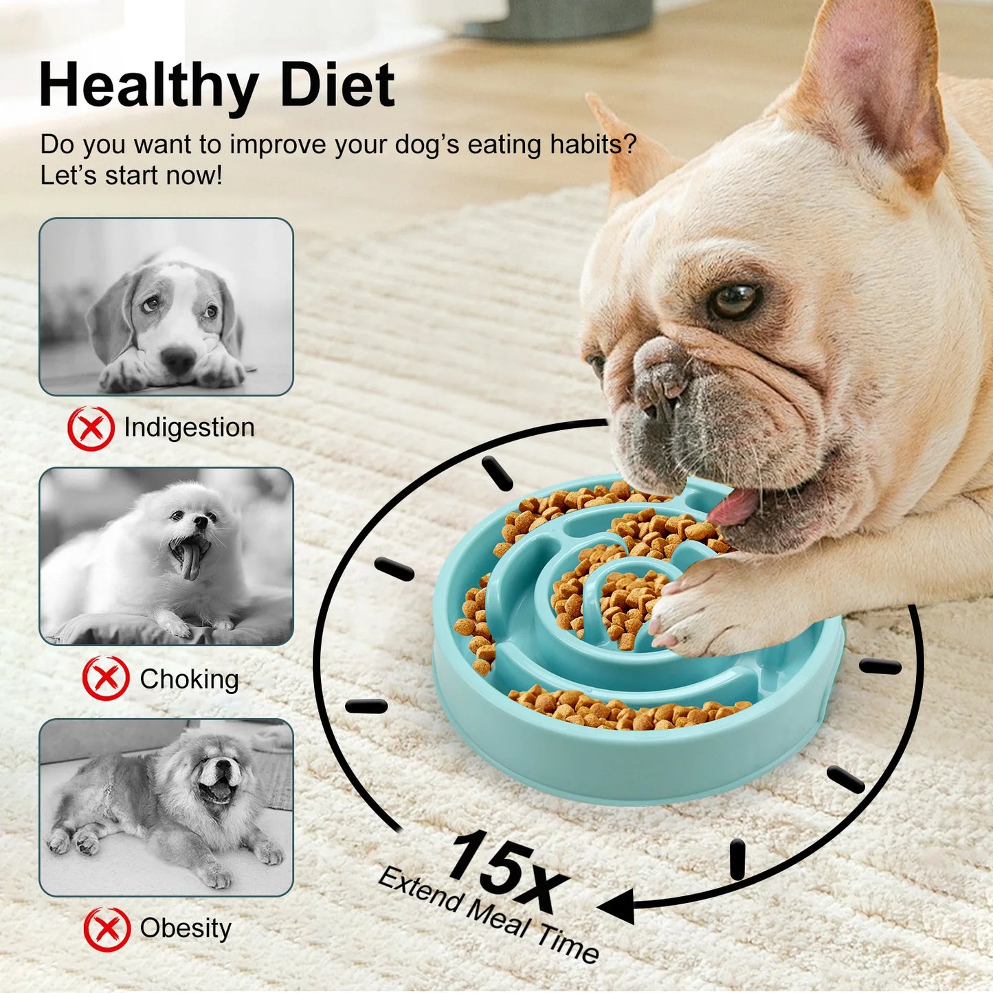 Pet Slow Food Bowl - Non