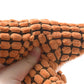 Cats and Dogs Pet Plush