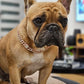 Dog Chain Collar Diamond Cuban Link Necklace Metal Cat Chain Pet Crystal Collar Jewelry Accessories for Dogs Cats