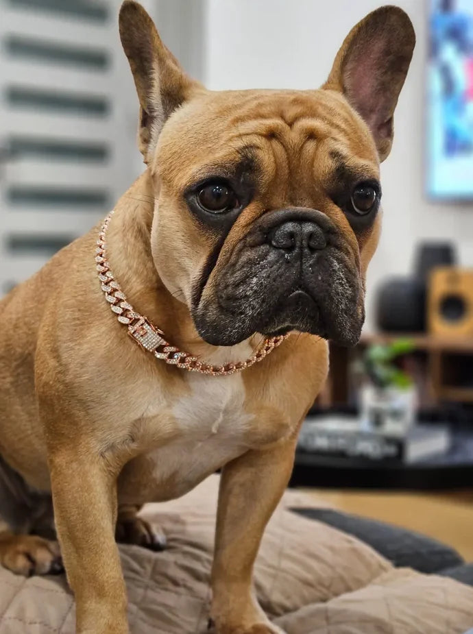 Dog Chain Collar Diamond Cuban Link Necklace Metal Cat Chain Pet Crystal Collar Jewelry Accessories for Dogs Cats