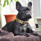 Free Custom PU Leather Dog Collar Engraved Dog Collars Adjustable Pet Buckle ID Necklace Durable for Small Medium Large Dogs Pug