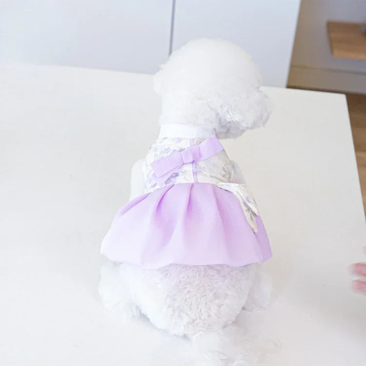 Pet Clothing Dog