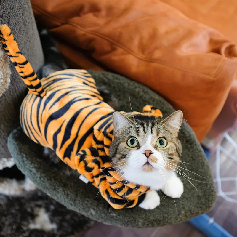 Pet Dog Clothes
