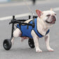1Pcs Pet Wheelchair Cart Adjustable Pet Cat Dog Rehabilitation Walking Wheels Aids Mobility Assistance Light Pet Walk Tools
